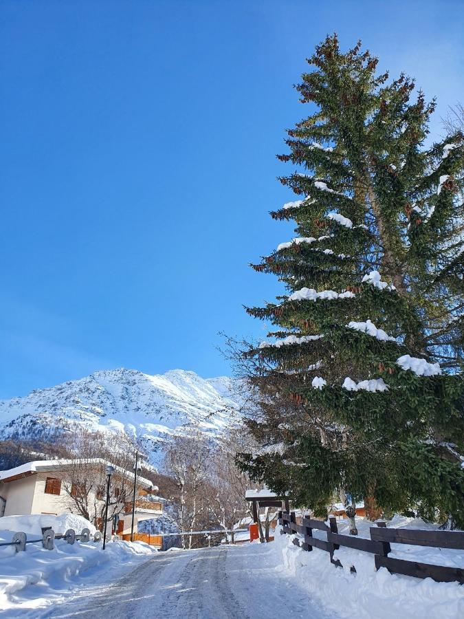 La Casa Di Matilde - Trilocale Vicinissimo Alle Piste Da Sci La Thuile Exteriér fotografie